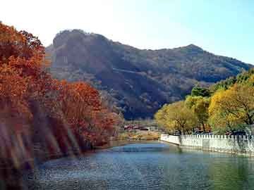 新澳天天开奖资料大全旅游团，马山整站优化